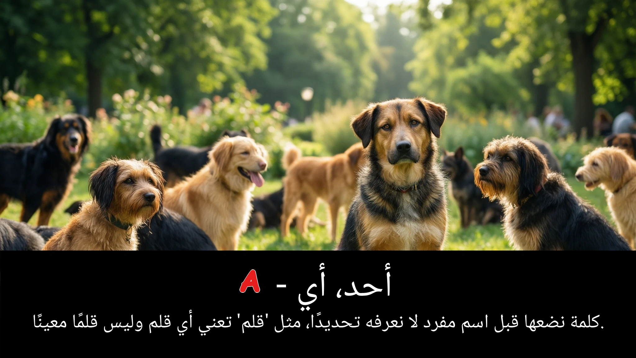 Arabic Illustration for a